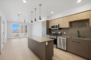 Furnished kitchen1